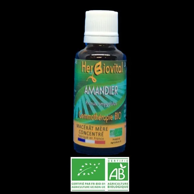 Almond Tree Organic Gemotherapy