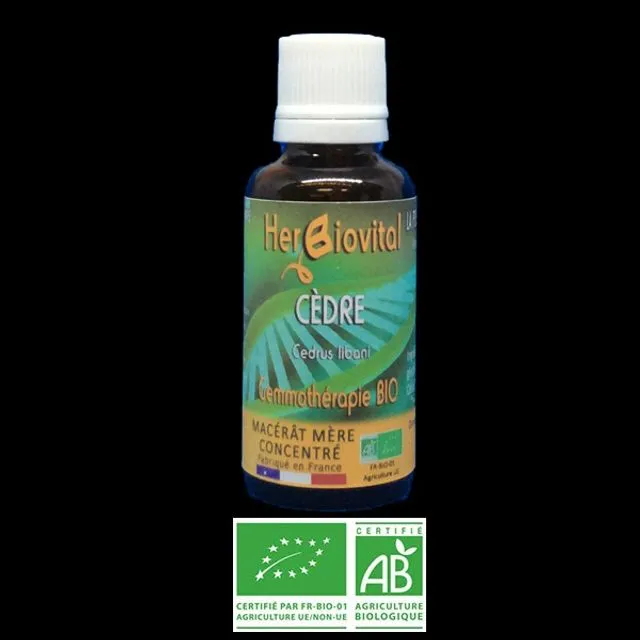 Cedar Organic Gemotherapy