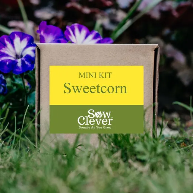 Sweetcorn Mini Kit