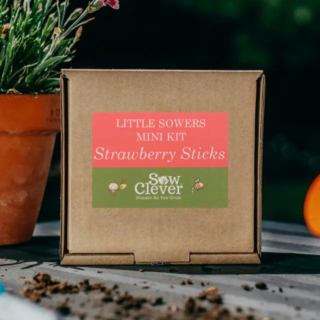 Little Sowers Strawberry Sticks Mini Kit