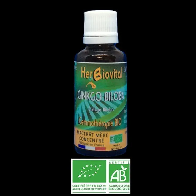 Ginkgo Biloba Organic Gemotherapy