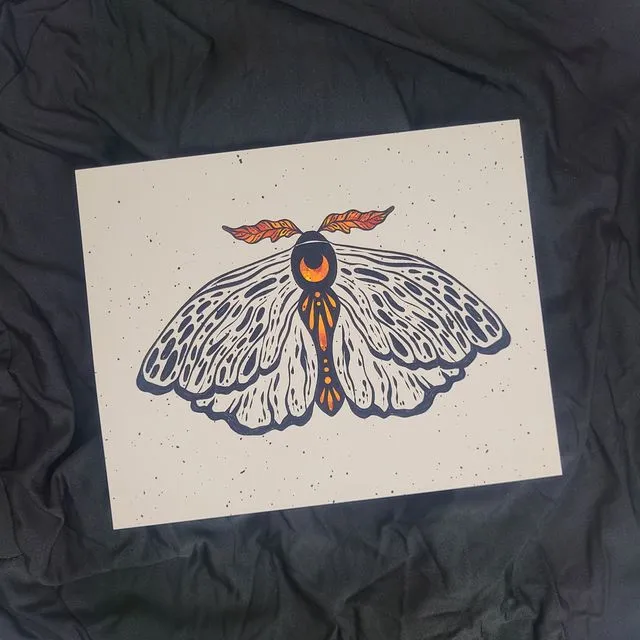 Moth Wall Art Print