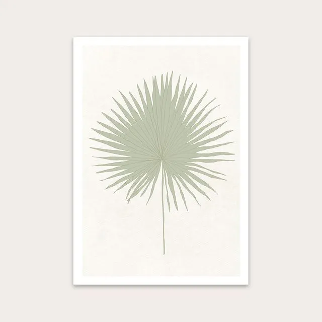Sage Sun Palm Art Print