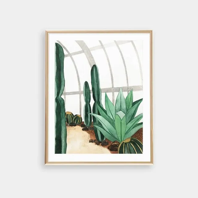 Cactus Conservatory Art Print - Pack of 3