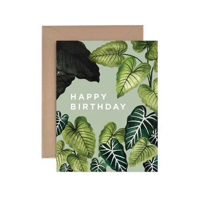 Alocasia Happy Birthday Greeting Card - Pack of 6