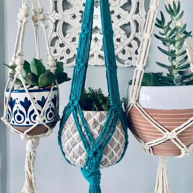 Assorted Plant Hangers