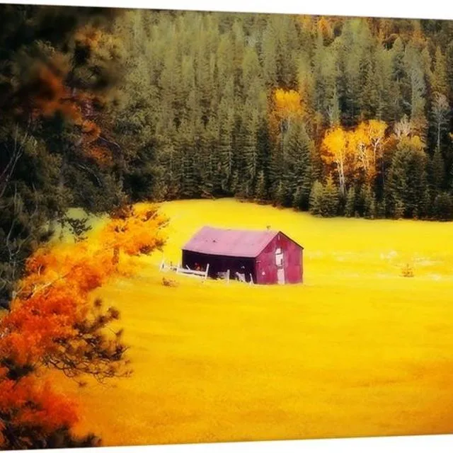 Fall On A South Dakota Meadow Canvas Print