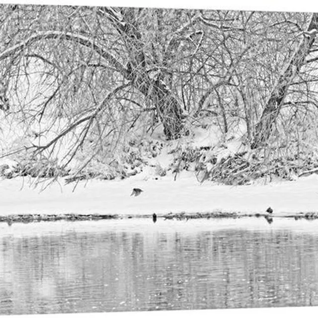 Winter Scene On The Platte River Canvas Print