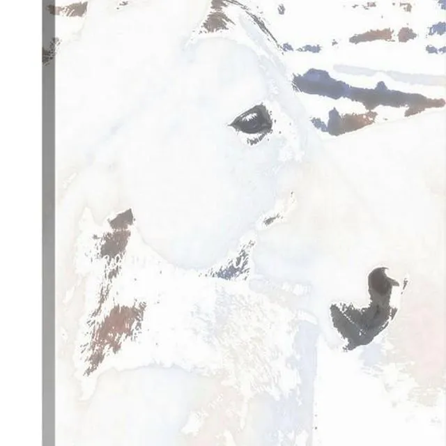 White Desert Ghost Canvas Print