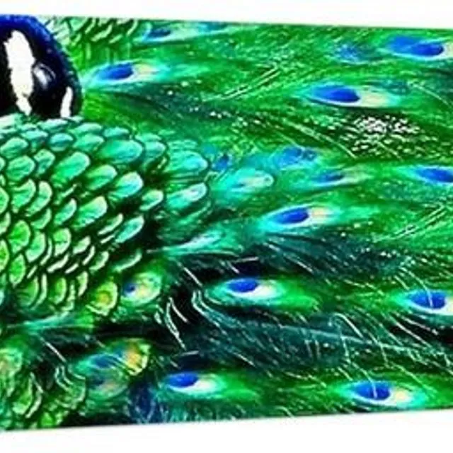 Bejeweled Canvas Print (20x60 inches)