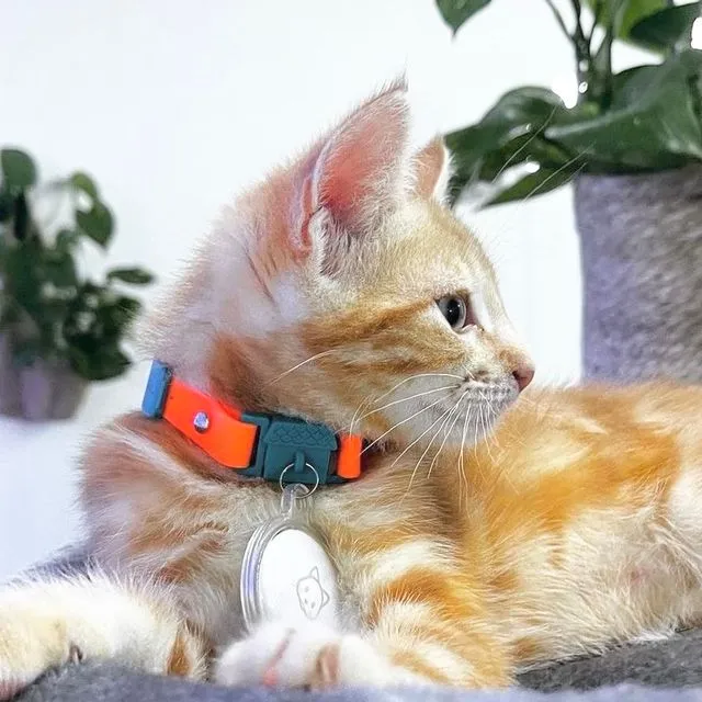 Kittyrama Tangerine KITTEN Breakaway Collar. Vet & Cat Expert Recommended