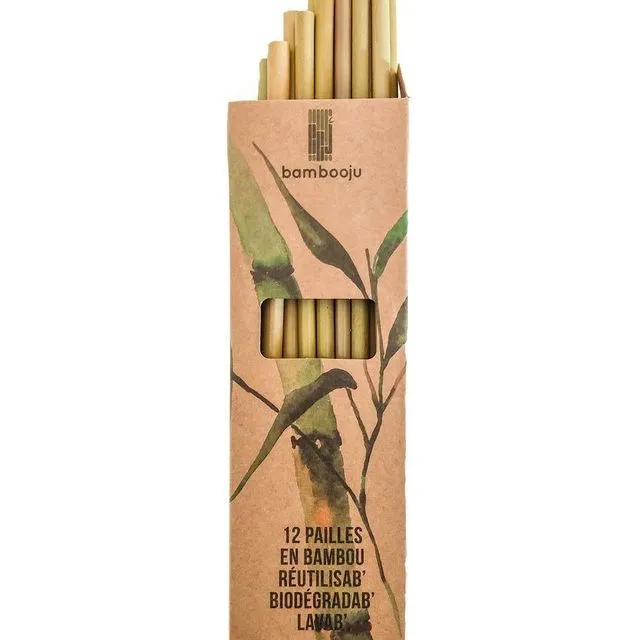 Pack 12 Bamboo Straws | 19 cm l Washable & Reusable