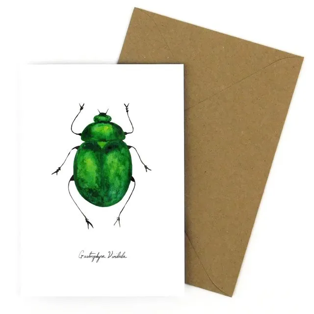 Green Beetle A6 Greetings Card