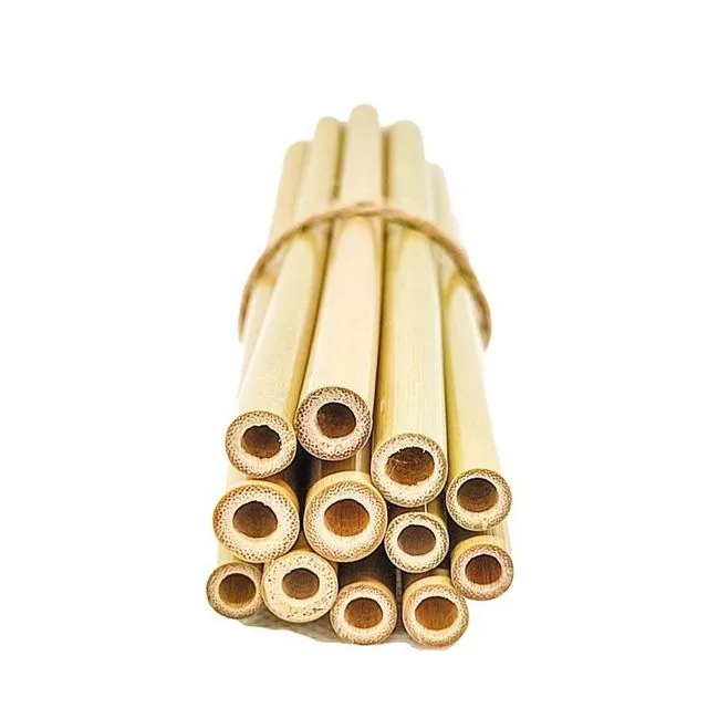 6 Bamboo Straws | 11 cm | Washable & Reusable