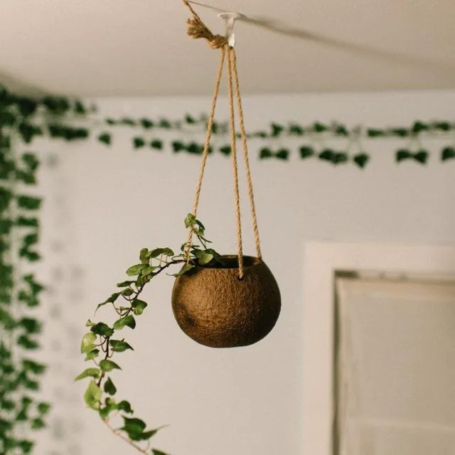 Hanging Coconut Planter