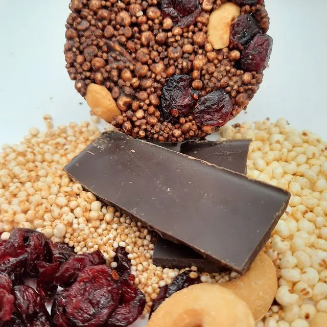 Dark Chocolate with Dried Cranberries and Cashews - Pack of 12