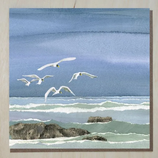 Coastal/Seaside Card 'Seabirds' (bundle of 6)