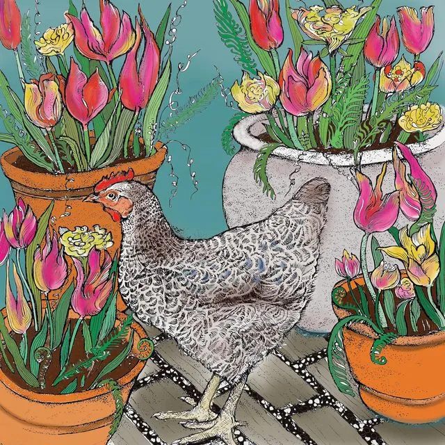 Chicken and Tulips TW146