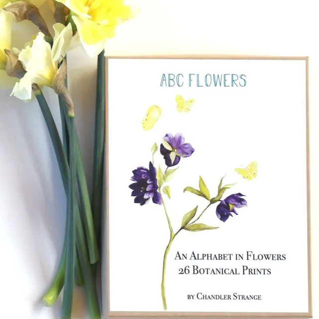 Flower Alphabet Card Set, ABC Flash Cards, Flower Alphabet Cards, Flower Alphabet, Watercolor Botanical Prints, Nursery Alphabet Art