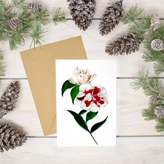 Japonica Camellia Red &amp; White Botanical Flower Christmas Card-100% Recycled paper - Pack of 8