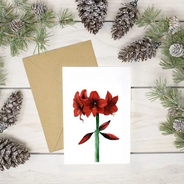 Amaryllis Bloom Christmas Card 100% Recycled Paper and Envelopes-Botanical Watercolor - Pack of 8