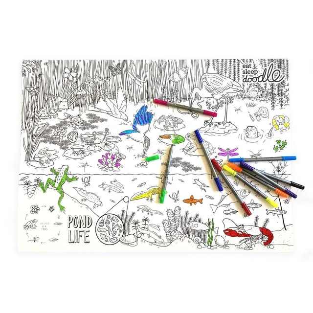Pond Life Wrapping Paper Activity Kit