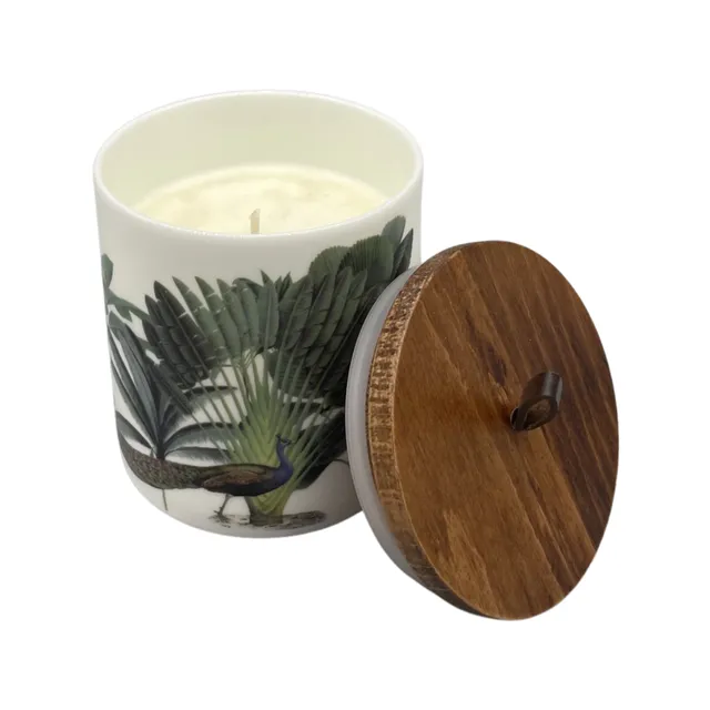 Darwin's Menagerie "Effete" Candle