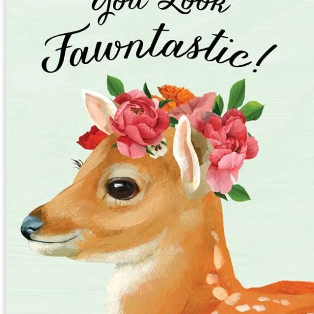 Fawn - Pack of 6