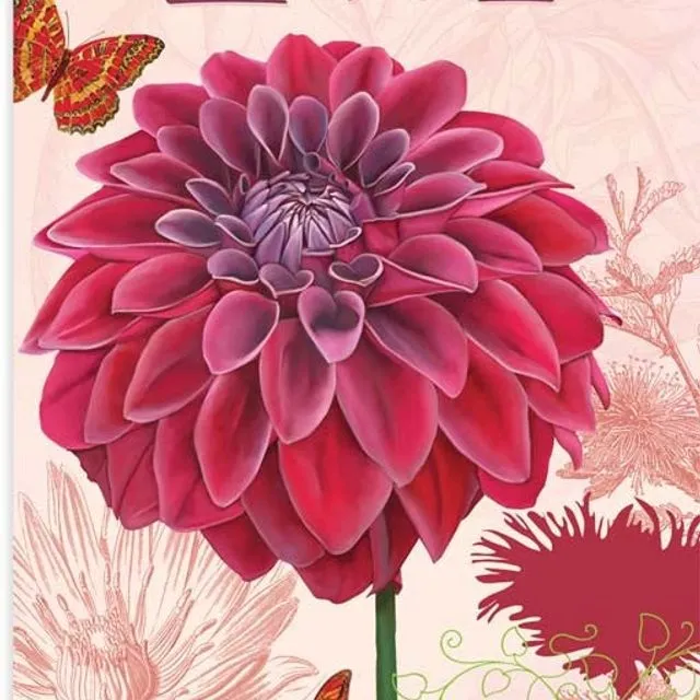 Red Dahlia - Pack of 6