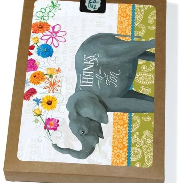 Elephant Thanks Boxed Cards - Pack of 6