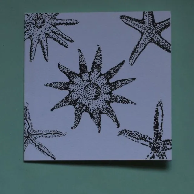 Starfishes Card