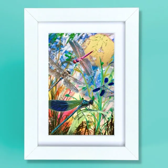 Dragonflies small framed print
