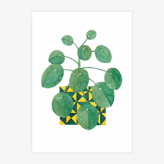 Chinese Money Plant A5 Print