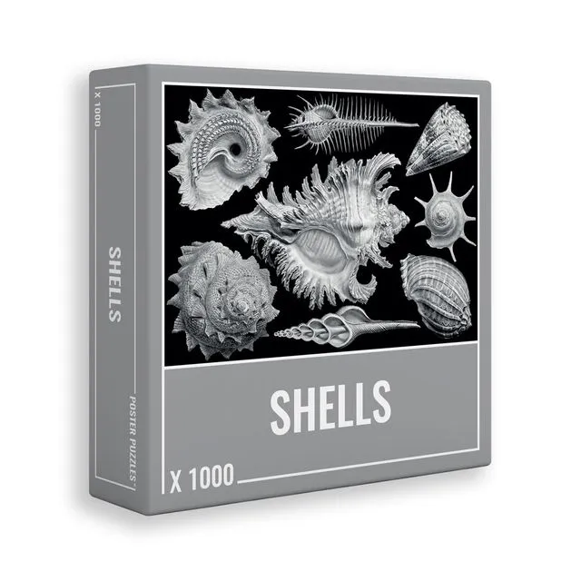 Shells Jigsaw Puzzle (1000 pieces)
