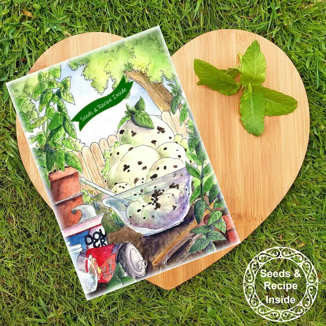 Greeting card with a gift of seeds - Mint Choc Chip Ice-cream