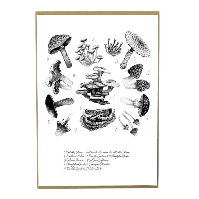 Mushroom A4 Art Print