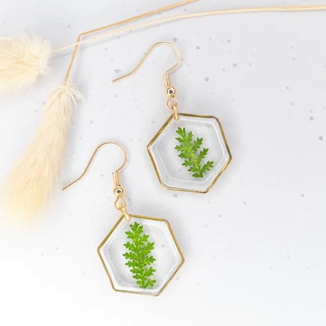 Mia hexagon dangle earrings with real dried fern in resin