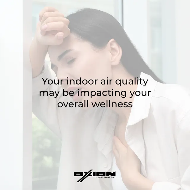 Best air cleaner for large rooms removing smell dust odor bacteria