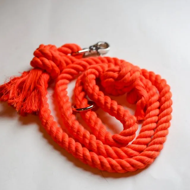 Orange Rope Dog Leash