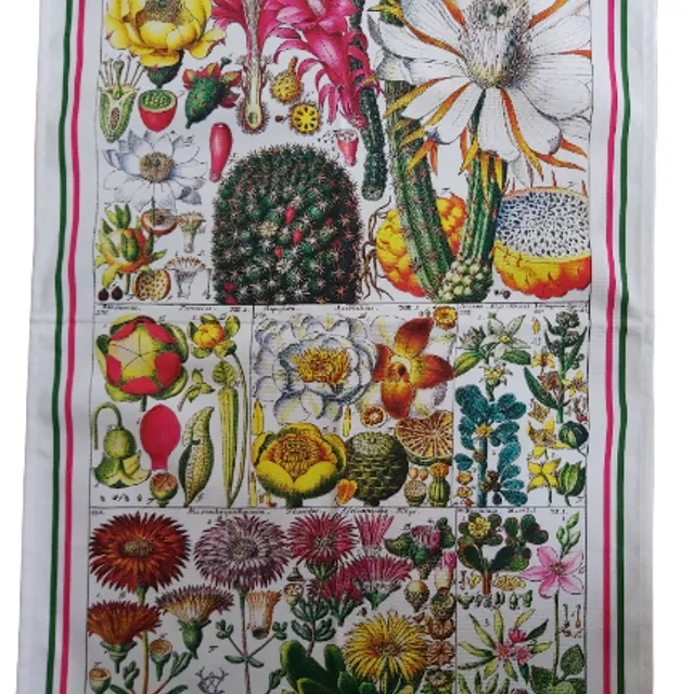 Tea Towel Antique Botanical Cactus Print Luxury 100% Cotton UK Made