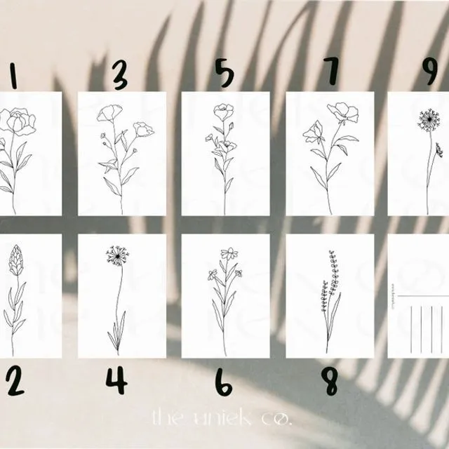 Botanical Postcards - minimalistic postcard set with line drawings of plants, flowers and weeds