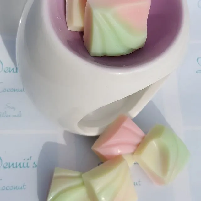 Coconut fragranced square wax melts