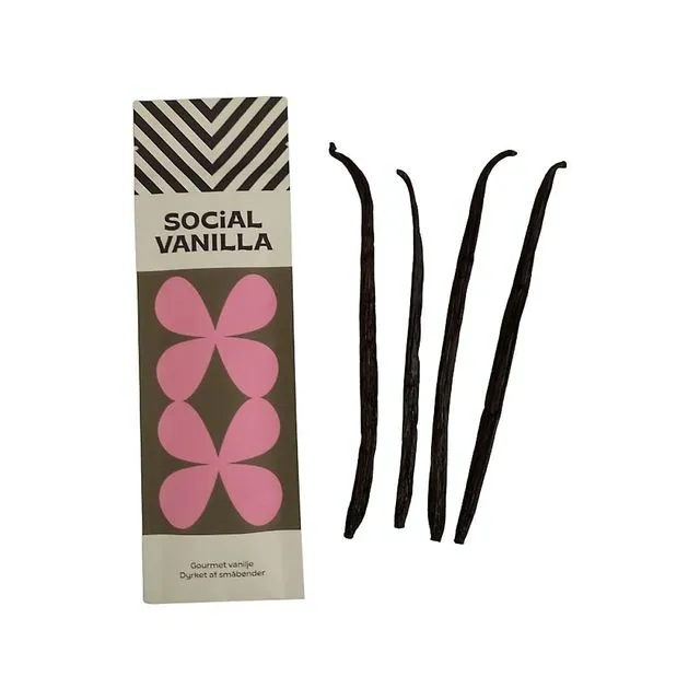 Premium gourmet vanilla beans 4 pcs (20 grams)