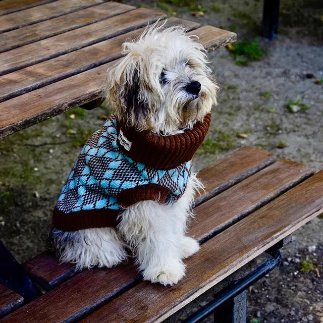 Lucy Dog Jumper in Turquoise