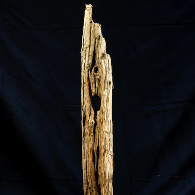 Driftwood sculpture - Unique piece on stand - Height 50 cm