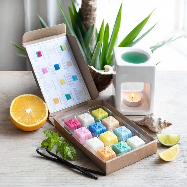 Wax Melts Citrus Selection Box - Pack of 10