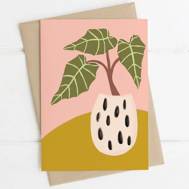 'Alocasia Indoor Plant' Note Card A6 (Unit of 6 Cards)