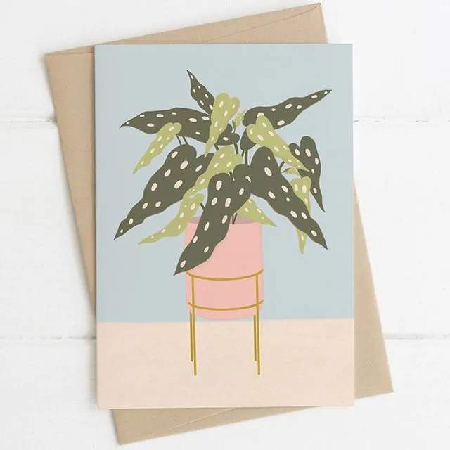 'Spotted Begonia Indoor Plant' Note Card A6 (Unit of 6 Cards)