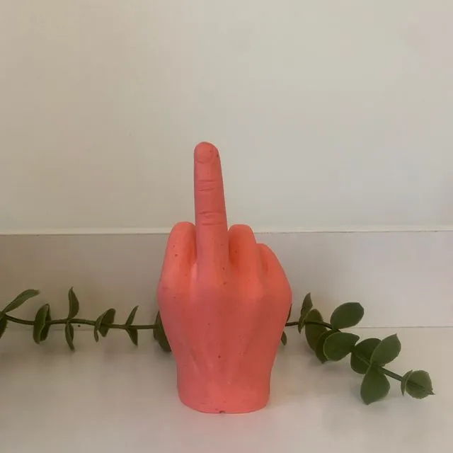 Pink Middle Finger