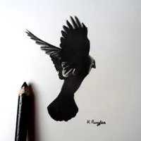 Drawing In Dark avatar